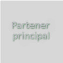 Partener principal